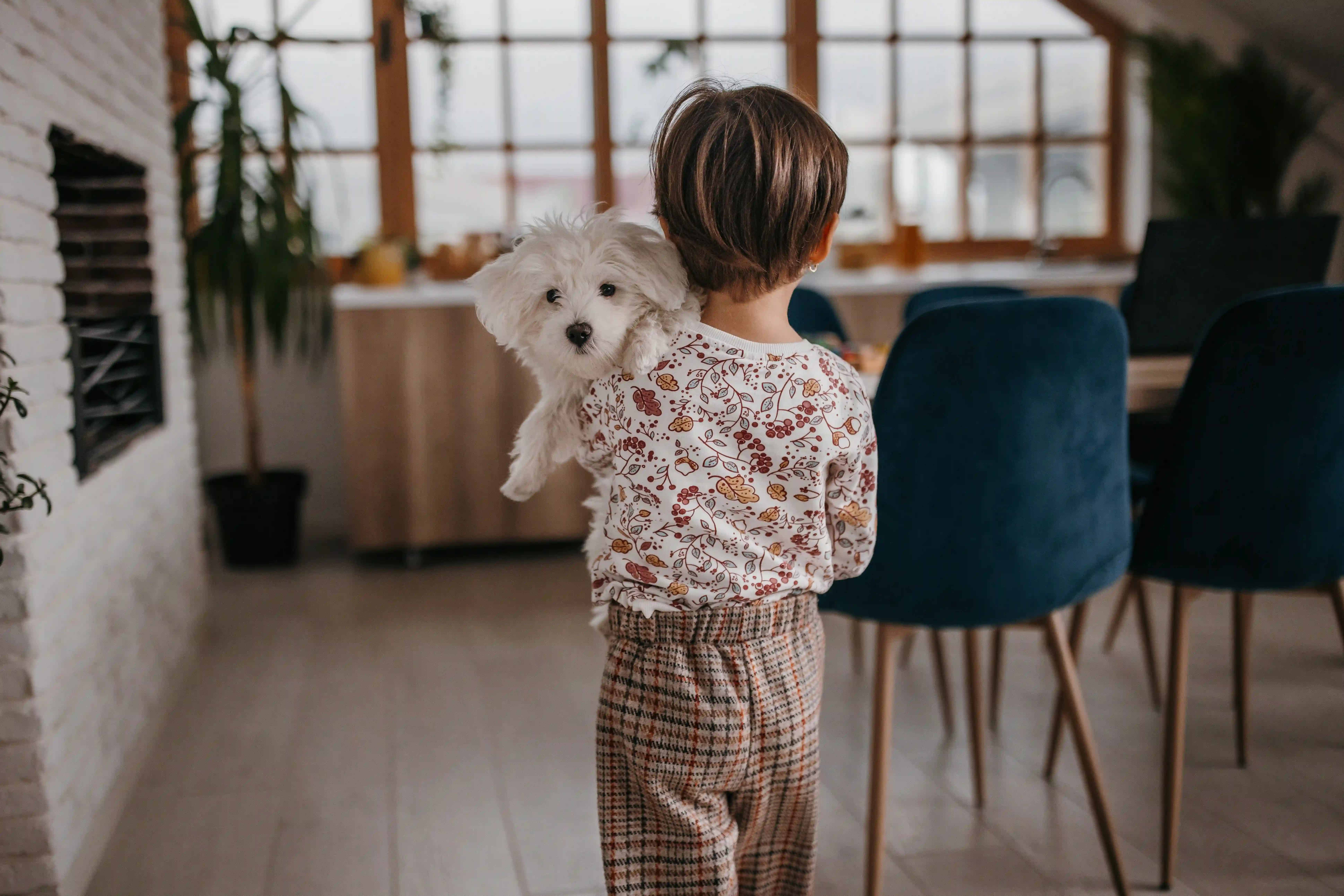 C'est quoi la pédopornographie ?