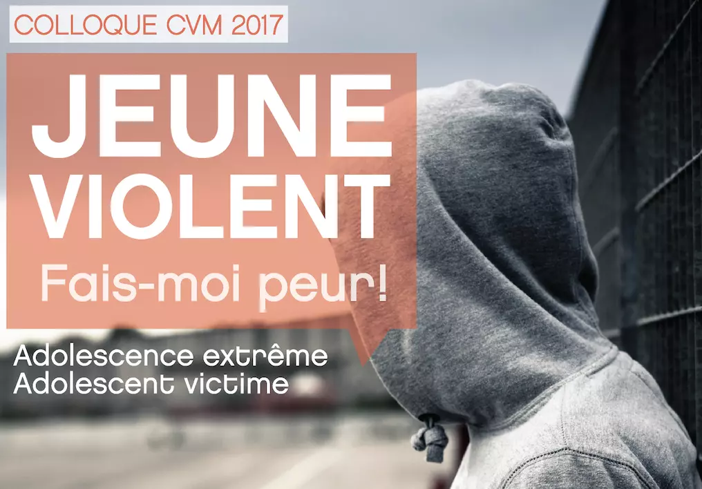 Colloque 2017 du CVM