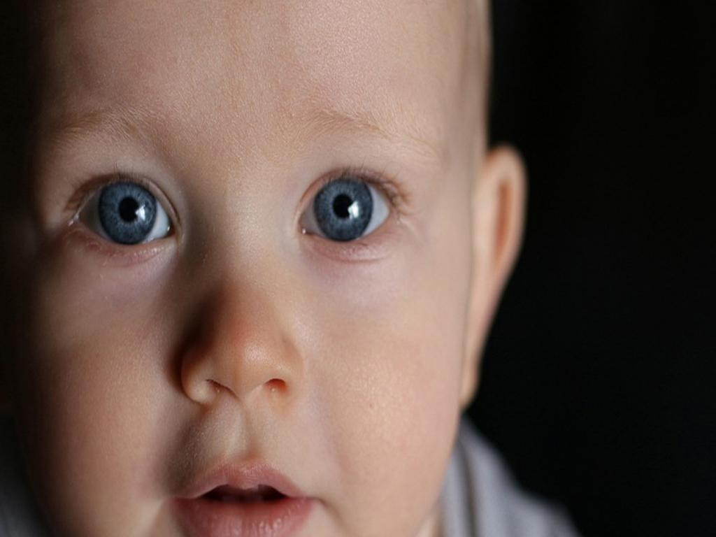 Guides sur l'information préoccupante et le signalement