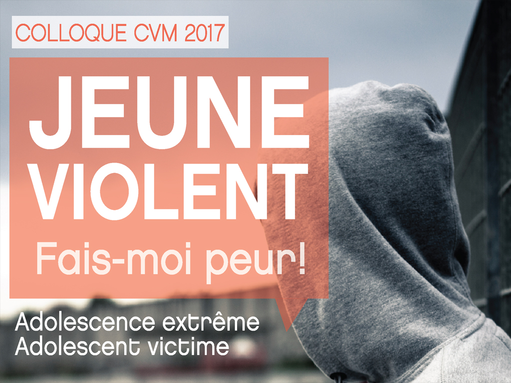 Conférences colloque 2017